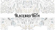 Blackbird Bath